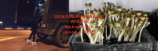 мефедрон VHQ Зеленокумск