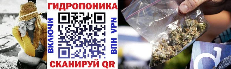 Шишки марихуана индика  где можно купить наркотик  Фёдоровский 